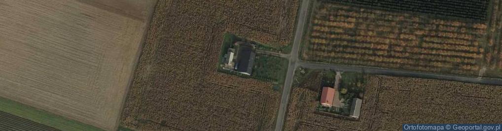 Zdjęcie satelitarne Buszkowo-Parcele ul.
