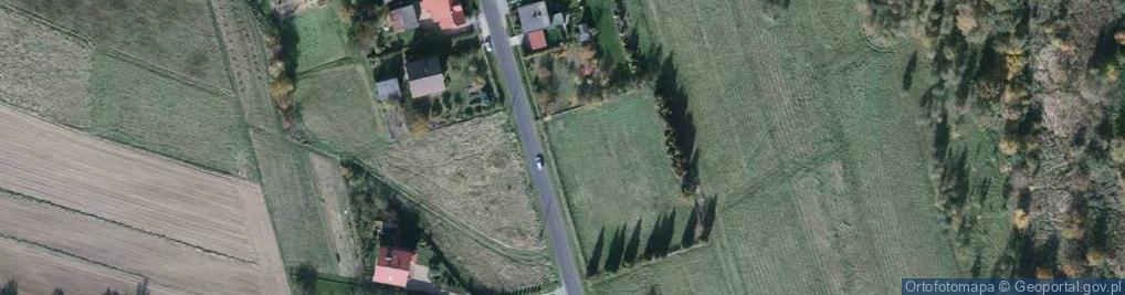 Zdjęcie satelitarne Bukowska ul.