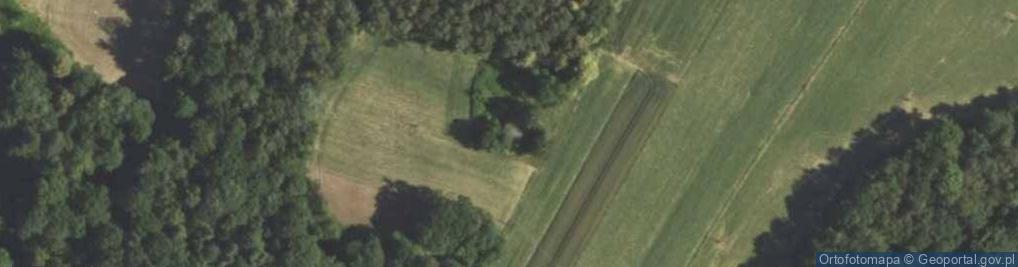 Zdjęcie satelitarne Bukowiecka ul.