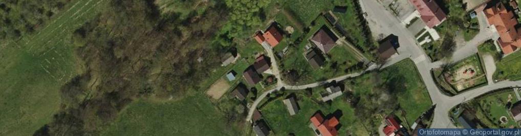 Zdjęcie satelitarne Bujna ul.