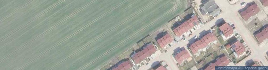 Zdjęcie satelitarne Budlejowa ul.