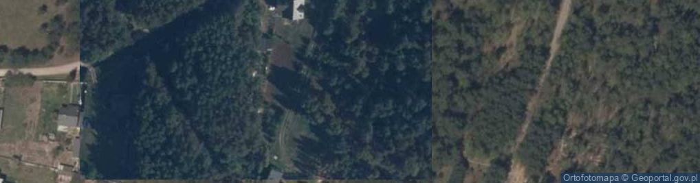 Zdjęcie satelitarne Bujnowska ul.