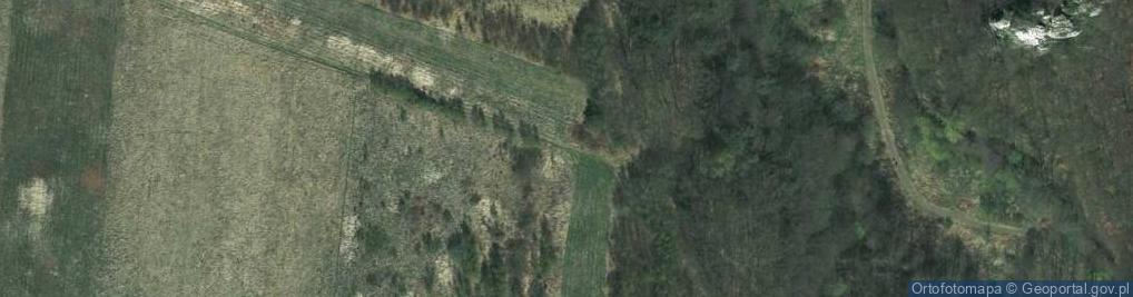 Zdjęcie satelitarne Bzowskich ul.