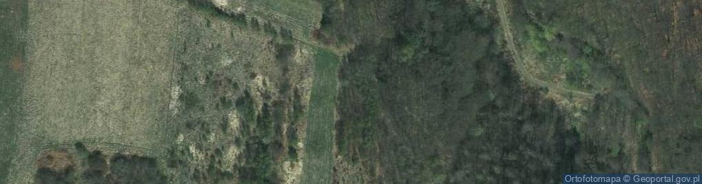 Zdjęcie satelitarne Bzowskich ul.