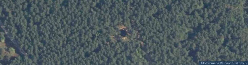 Zdjęcie satelitarne Centuria ul.