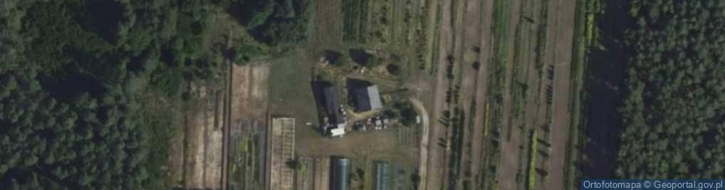 Zdjęcie satelitarne Celiniec ul.