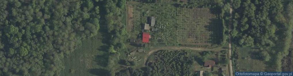 Zdjęcie satelitarne Chałupki Chotynieckie ul.