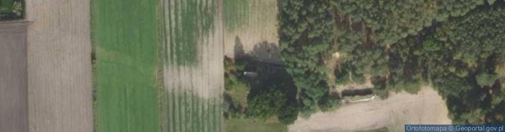 Zdjęcie satelitarne Chojno-Błota Wielkie ul.
