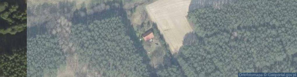 Zdjęcie satelitarne Chojno-Młyn ul.