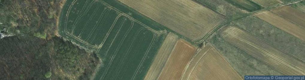 Zdjęcie satelitarne Cicha ul.