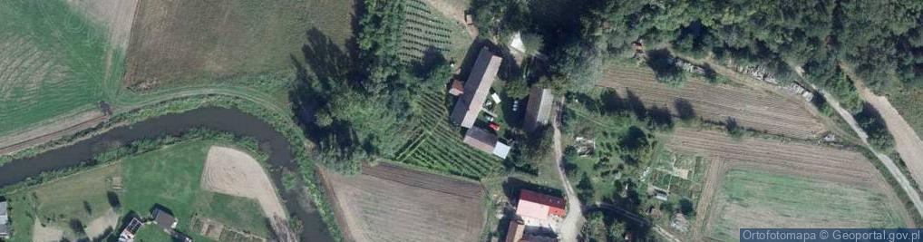 Zdjęcie satelitarne Cieciszów ul.