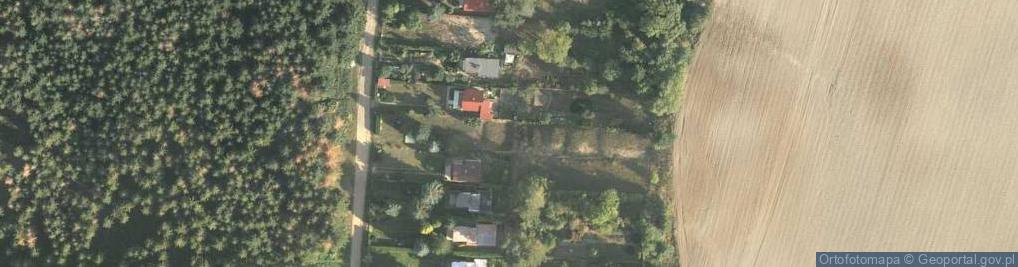Zdjęcie satelitarne Cierplewo ul.