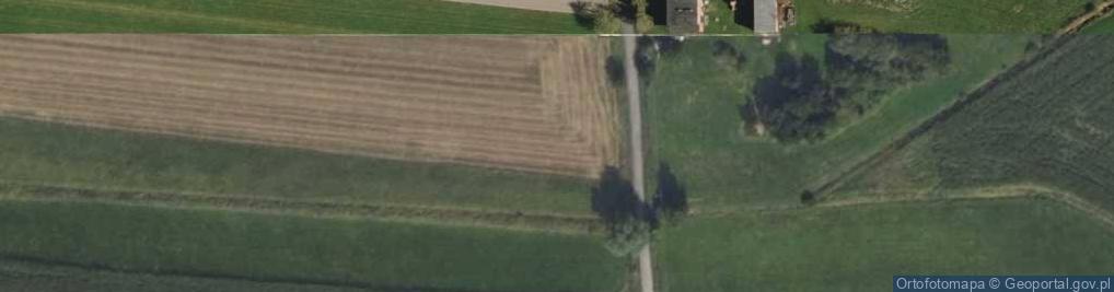 Zdjęcie satelitarne Ciświca ul.