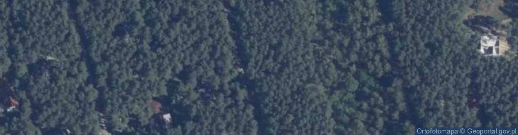 Zdjęcie satelitarne Cicha ul.