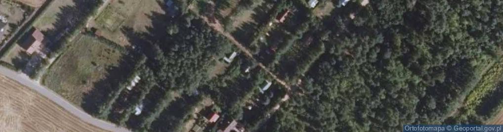 Zdjęcie satelitarne Czarnakowizna ul.