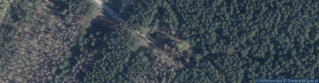 Zdjęcie satelitarne Czarny Las ul.