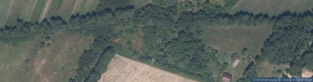 Zdjęcie satelitarne Czarny Las-Kolonia ul.