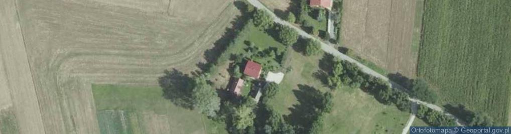 Zdjęcie satelitarne Czarzyzna ul.