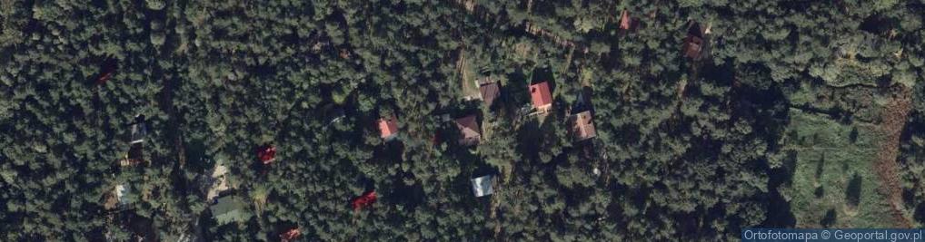 Zdjęcie satelitarne Czekanka ul.