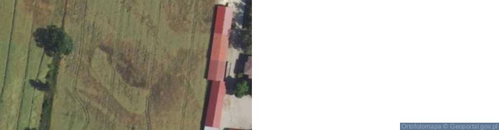 Zdjęcie satelitarne Czerniewo ul.