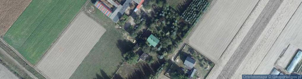 Zdjęcie satelitarne Czernikówko ul.
