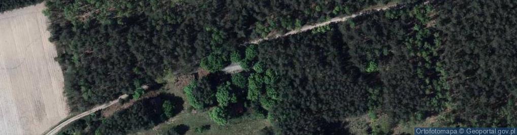 Zdjęcie satelitarne Czerwonka Poleśna ul.