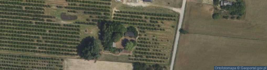 Zdjęcie satelitarne Częstoniew-Kolonia ul.
