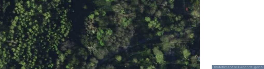 Zdjęcie satelitarne Czyżemińska ul.