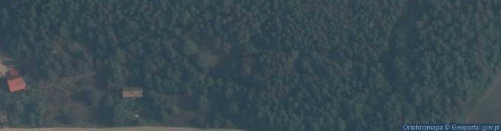 Zdjęcie satelitarne Czysta Woda ul.