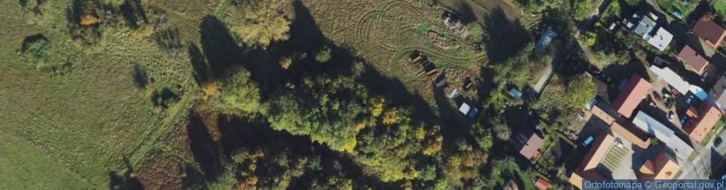 Zdjęcie satelitarne Czecha Bronisława ul.