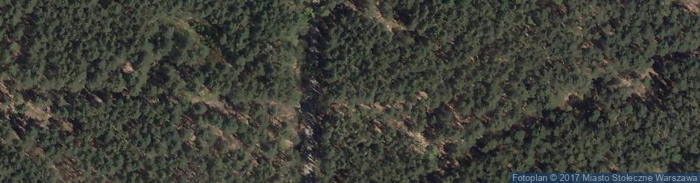 Zdjęcie satelitarne Czołgistów ul.