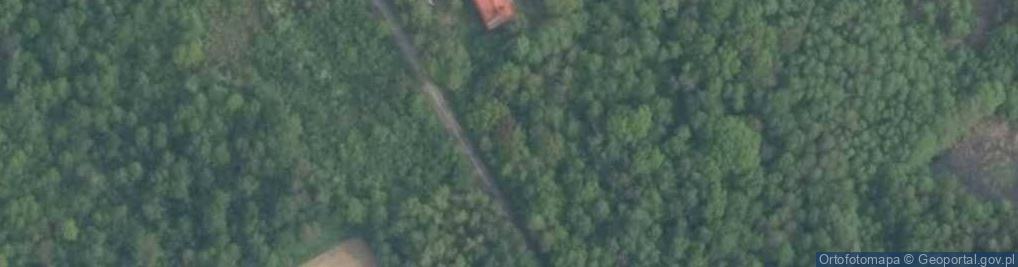 Zdjęcie satelitarne Czarnoleśna ul.