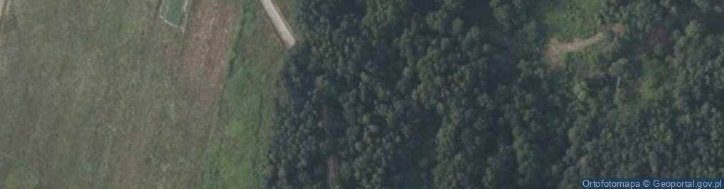 Zdjęcie satelitarne Czarny Las ul.
