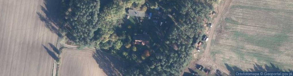 Zdjęcie satelitarne Dąbrowa Nowa ul.