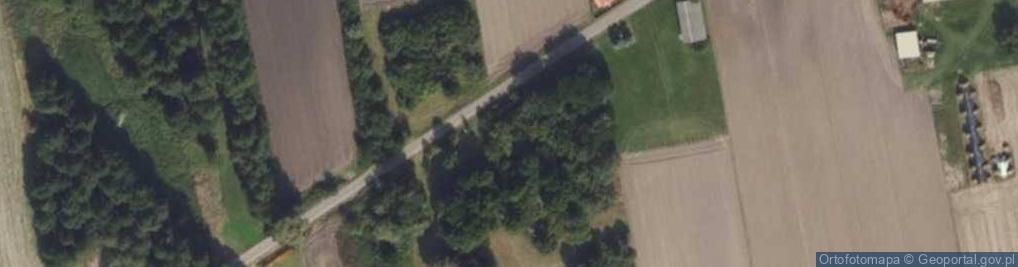 Zdjęcie satelitarne Dąbrowica-Kolonia ul.