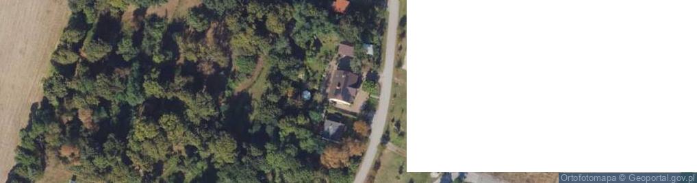 Zdjęcie satelitarne Dąbrówka Kujawska ul.