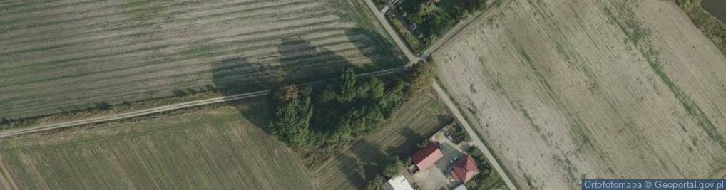 Zdjęcie satelitarne Dąbrówka Osuchowska ul.