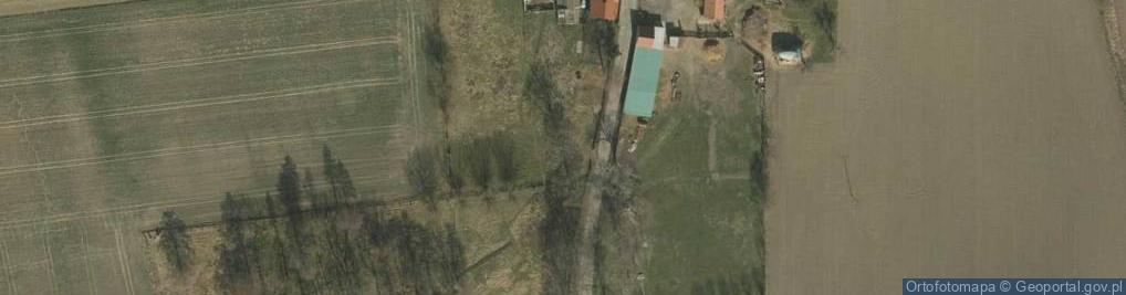 Zdjęcie satelitarne Damianowo ul.