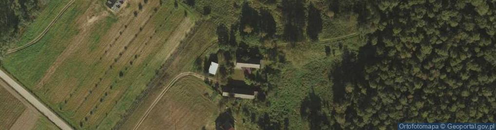 Zdjęcie satelitarne Daninów ul.