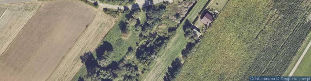 Zdjęcie satelitarne Daniszew ul.