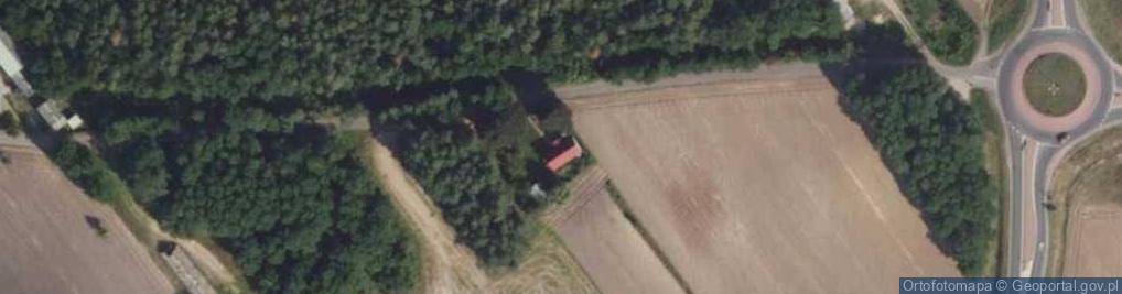 Zdjęcie satelitarne Daniszew ul.