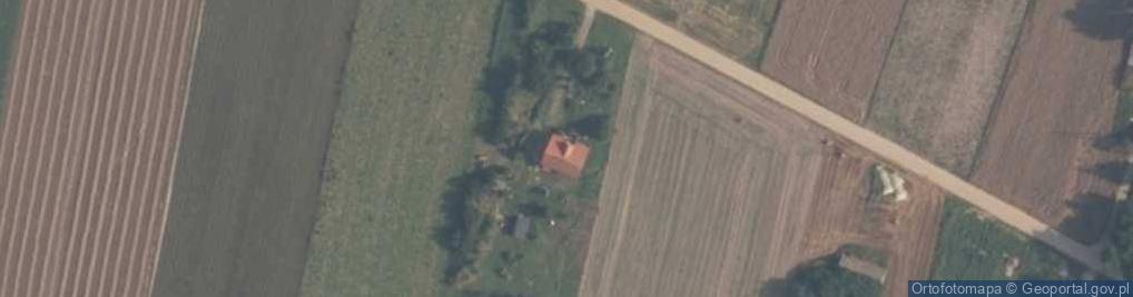 Zdjęcie satelitarne Daniszewo ul.