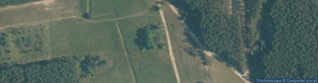 Zdjęcie satelitarne Danków Duży ul.