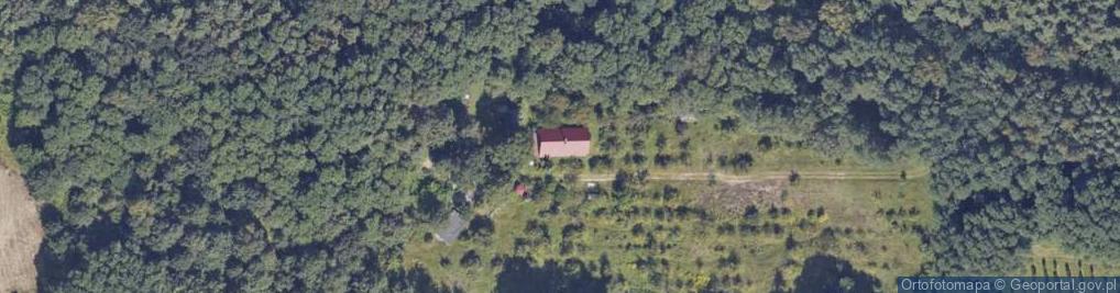 Zdjęcie satelitarne Danków Duży ul.
