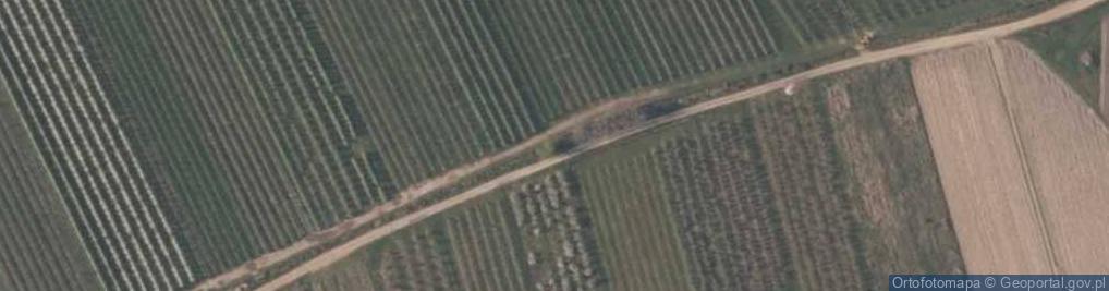 Zdjęcie satelitarne Dańków ul.