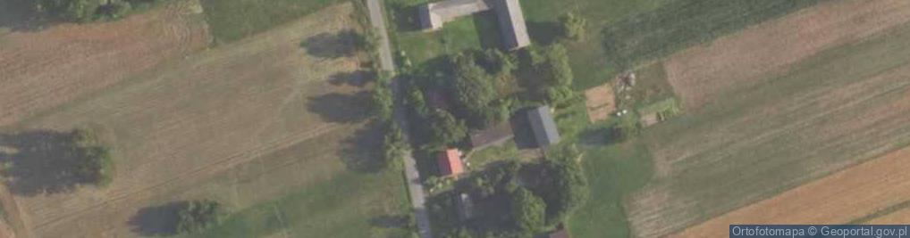 Zdjęcie satelitarne Dankowice Pierwsze ul.
