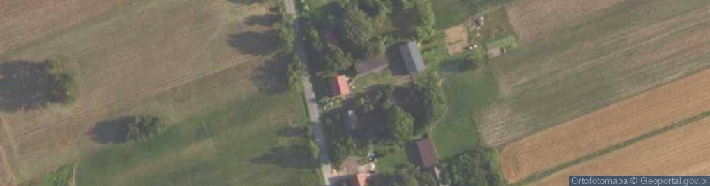 Zdjęcie satelitarne Dankowice Pierwsze ul.