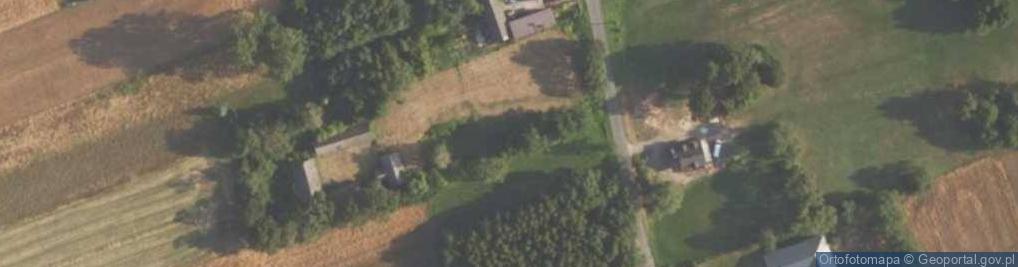 Zdjęcie satelitarne Dankowice Pierwsze ul.