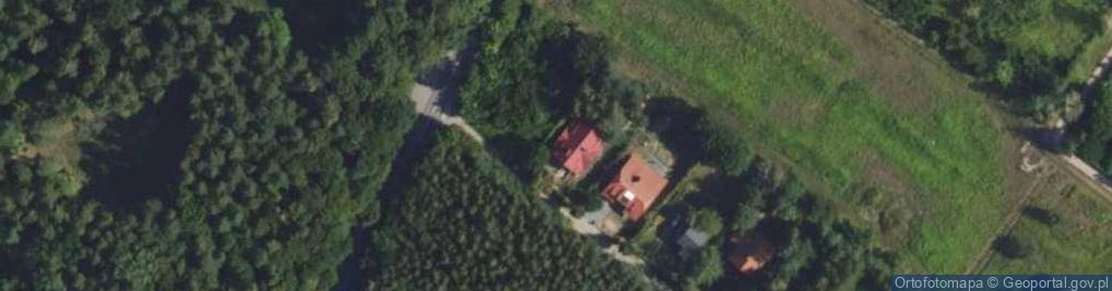 Zdjęcie satelitarne Daglezji ul.