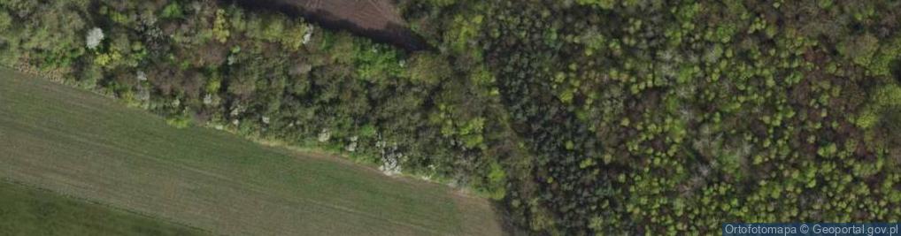 Zdjęcie satelitarne Daleka ul.